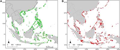 Distribution, Temporal Change, and Conservation Status of Tropical Seagrass Beds in Southeast Asia: 2000–2020